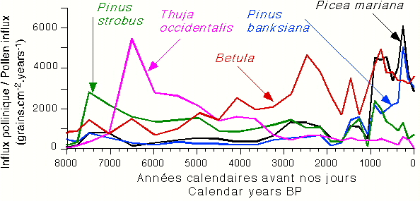 Chistopher.Fig3.jpg (198330 octets)