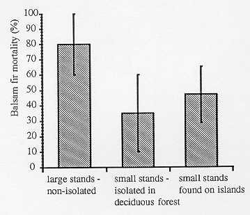 fig12.jpg (16070 octets)