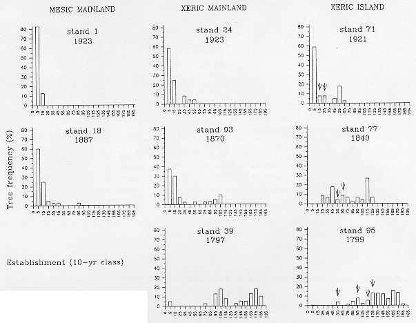 fig14.gif (182411 octets)