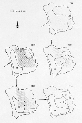 fig4.gif (77337 octets)