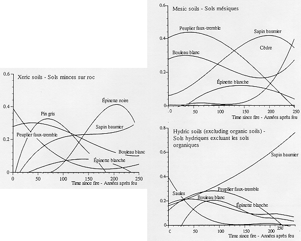 fig7.gif (137849 octets)